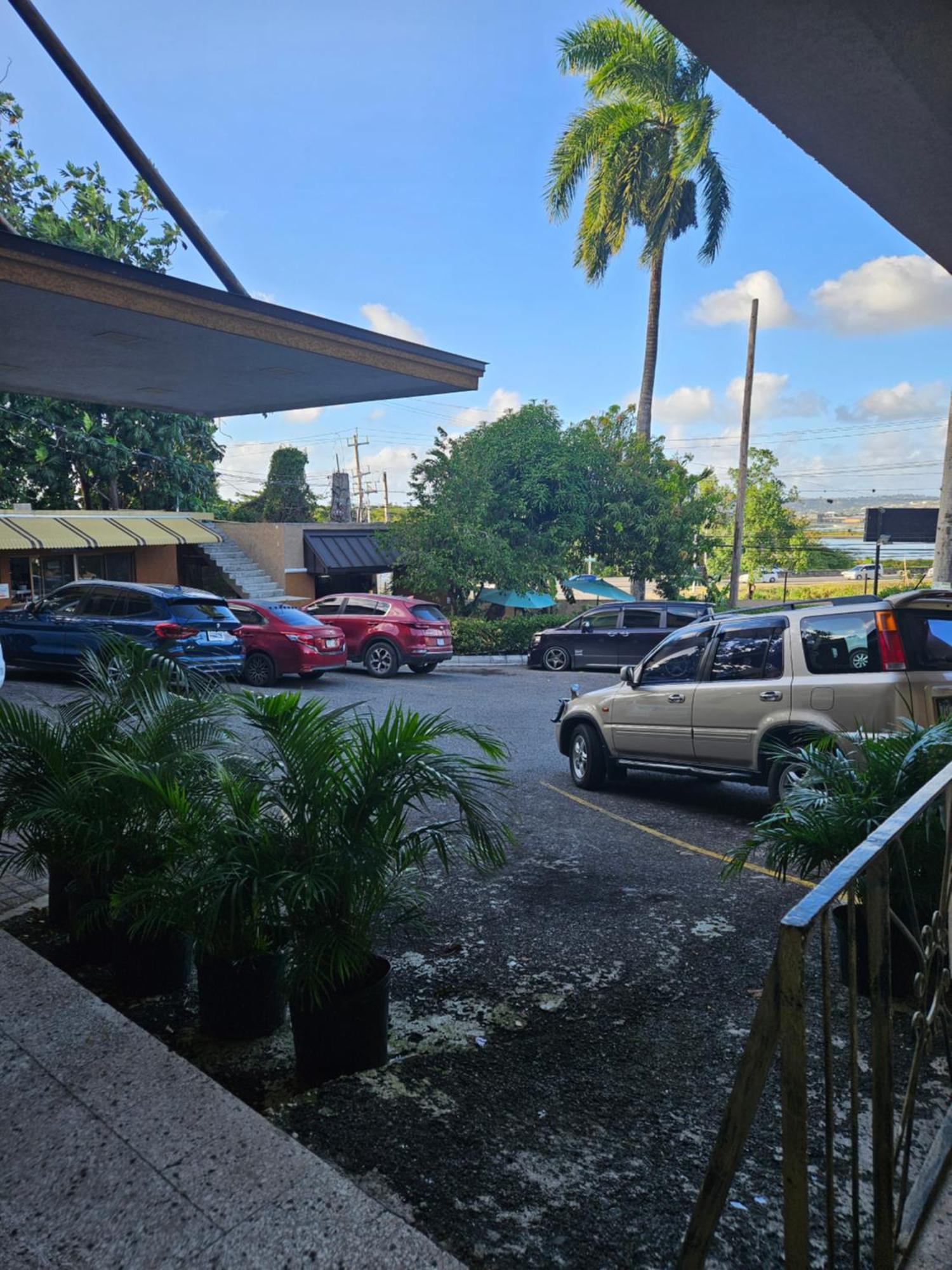 Palm Bay Guest House & Restaurant モンテゴ・ベイ エクステリア 写真
