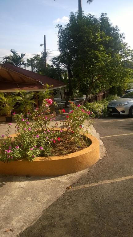 Palm Bay Guest House & Restaurant モンテゴ・ベイ エクステリア 写真